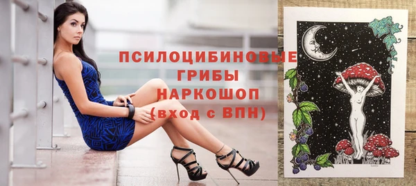 PSILOCYBIN Баксан