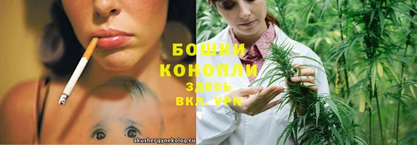 PSILOCYBIN Баксан