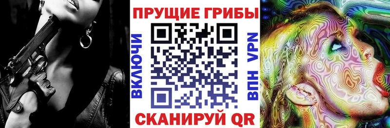 Купить закладки  Гулькевичи  Галлюциногенные грибы прущие грибы 
